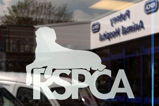 The RSPCA said it is a “sad reality” that the charity deals with animal cruelty on a daily basis. Photo: PA Images