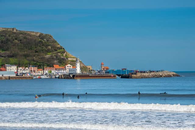 The plan outlines ambitions for a climbing, skating, BMX and surfing hub.