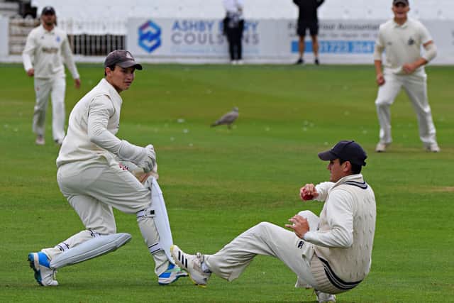 Scarborough's stand-in skipper Pat Roberts takes a superb slip catch