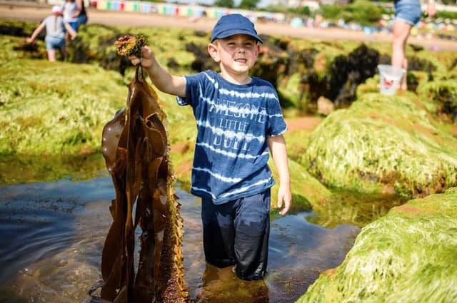 The RSPB’s summer Wild Challenge activities are designed to help children connect to East Yorkshire’s nature and have fun. Photo: Rosemary Despres/RSPB