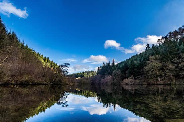 Dalby Forest
