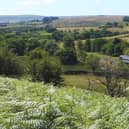 Esk Valley train leaving Castleton.