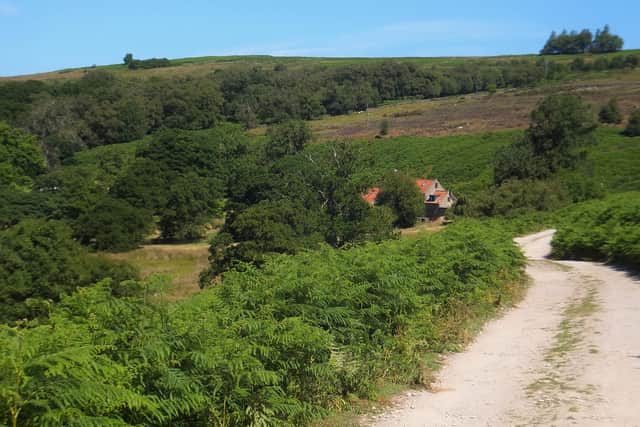 Footpath near Castleton.