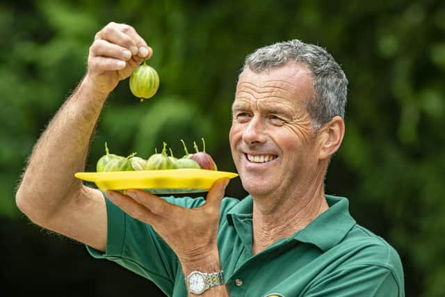 Graeme Watson, who is already the world record holder for having grown the heaviest gooseberry back in 2019, won the coveted title this year with a berry tipping the scales at 30 drams and 12 grains (53.9 grams).