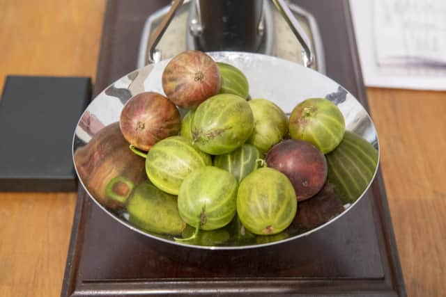 Despite challenging weather and growing conditions, there were some good berries on show as judging took place at the 221st Egton Bridge Old Gooseberry Show.