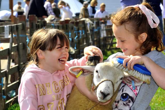 Lucy Dougherty, 8, (left) and Rose Jewitt, 7, friends from Scarborough getting Rose's Texel X lamb ready for her showing in the young handlers class at the 100th Thornton-le-Dale show.
