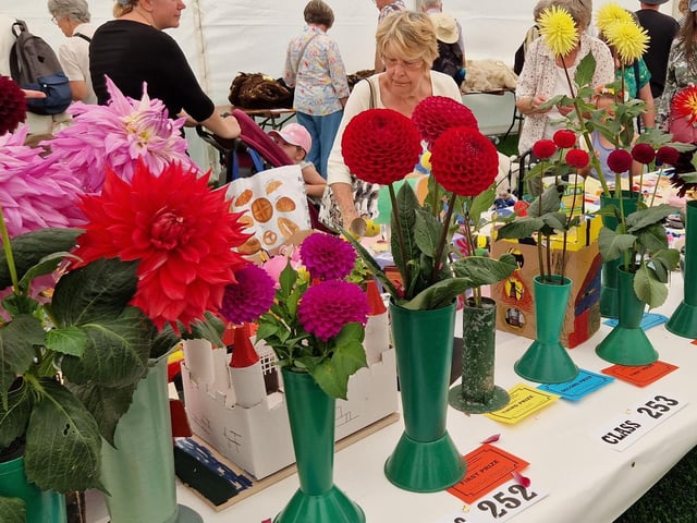 An assortment of floral entries