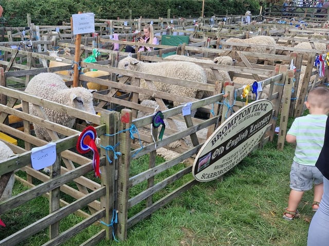 Winning entries from Glaves in Brompton by Sawdon
