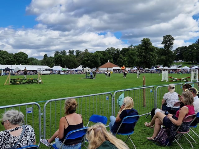 Watching the horses