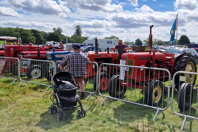 Vintage tractors on display