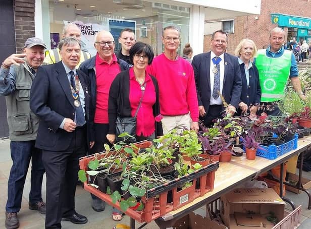 The plant stall at Scarborough Cavaliers Community Fair