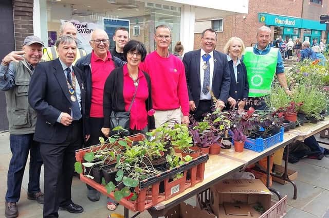 The plant stall at Scarborough Cavaliers Community Fair