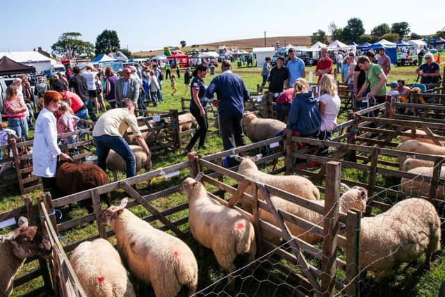 Burniston Show in 2016. Pic: Ceri Oakes.