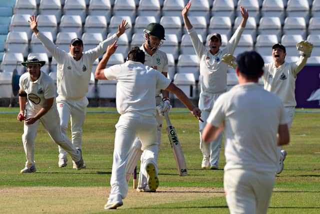 Scarborough CC celebrate a Dan Robson wicket