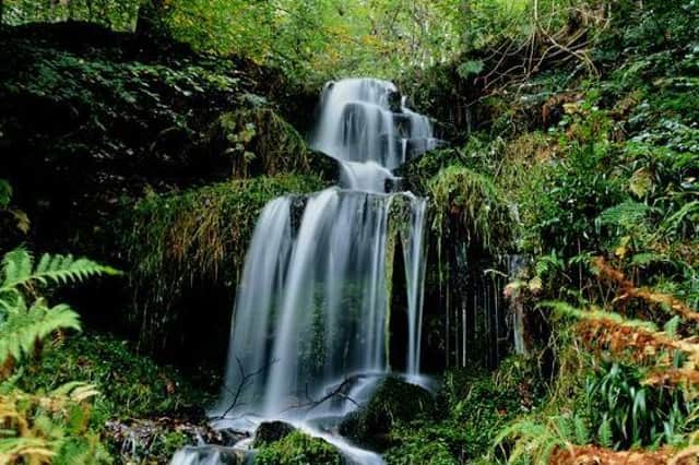 Did you know that Yorkshire boasts some of the most impressive waterfalls in the UK? A few favourites to check out this Bank Holiday are Hardcastle Craggs near Hebden Bridge, Aysgarth falls near Wensleydale and Janet’s Foss in Malham