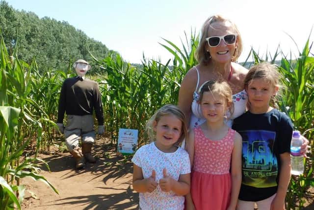 The maze offers great fun for all the family