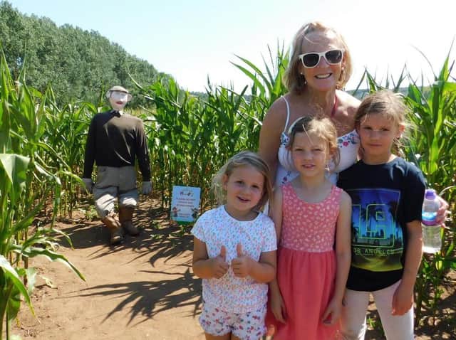 The maze offers great fun for all the family