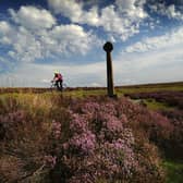 Heather on the North Yorkshire Moors, above Rosedale Abbey.