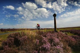 Heather on the North Yorkshire Moors, above Rosedale Abbey.