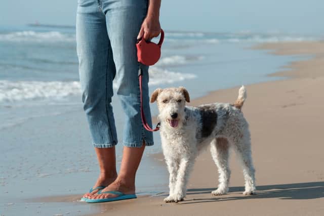 The annual dog exclusion zones on Bridlington’s beaches will come into effect from Saturday, May 1 and will remain in place until Thursday, September 30.