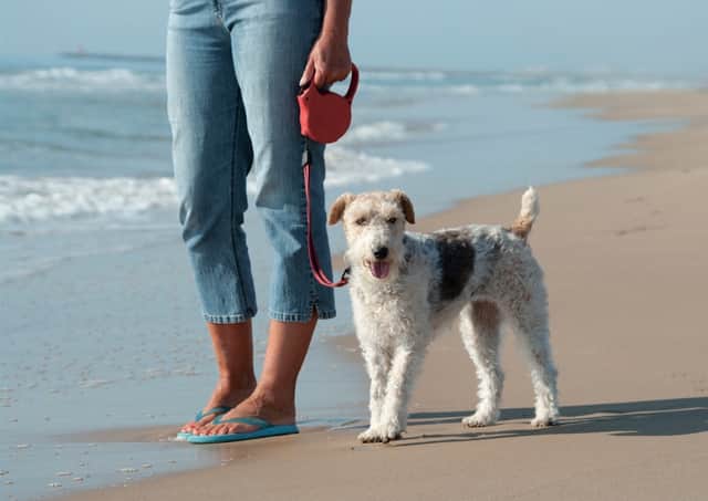 The annual dog exclusion zones on Bridlington’s beaches will come into effect from Saturday, May 1 and will remain in place until Thursday, September 30.