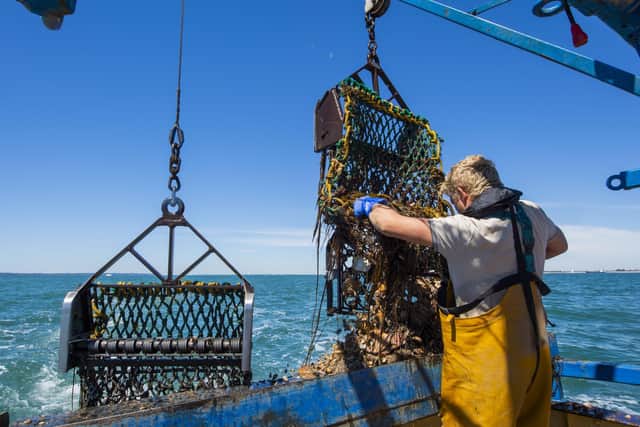 The ‘Home and Dry’ campaign is reminding those working on fishing vessels in England to take three simple steps to reduce the risk of death from falling overboard.