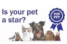 Scarborough News Top Pet Competition starts this week