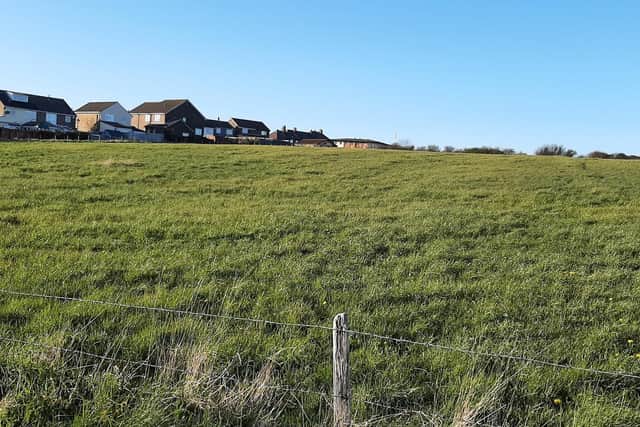 The field off Whitby's Green Lane which could soon be home to 60 new properties.