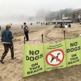 The seasonal dog ban on some beaches comes into effect on May 1.