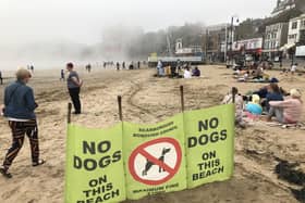 The seasonal dog ban on some beaches comes into effect on May 1.