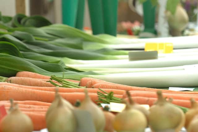 Bridlington Autumn Show’s extensive classes include handicrafts, cookery, art, photography - cacti, flowers, vegetables and various categories for young people.