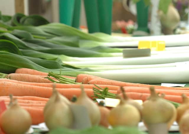 Bridlington Autumn Show’s extensive classes include handicrafts, cookery, art, photography - cacti, flowers, vegetables and various categories for young people.