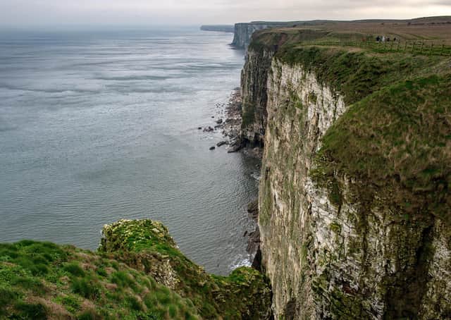 Humberside police officers are set to take action after the RSPCA made them aware of reports around marine disturbance from jet skis and boats at Flamborough and Bempton. Photo: Bruce Rollinson