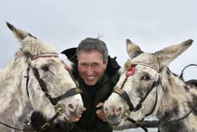 Guy Smith and his donkeys on South Bay beach.