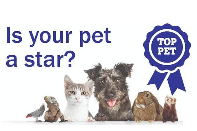 Top Pet entries close this week