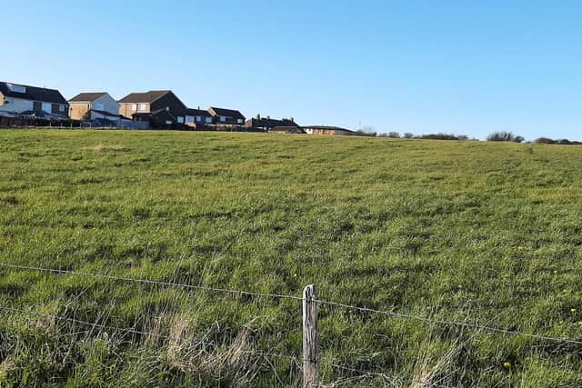 The field off Green Lane, Whitby, which could be turned into a housing development.