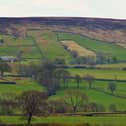 Danby Dale.