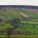 Danby Dale.