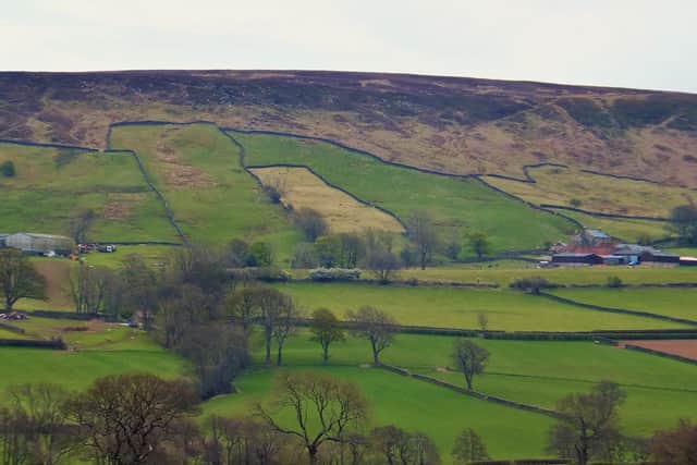 Danby Dale.