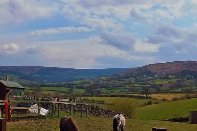 View from the beer garden at the Downe Arms.