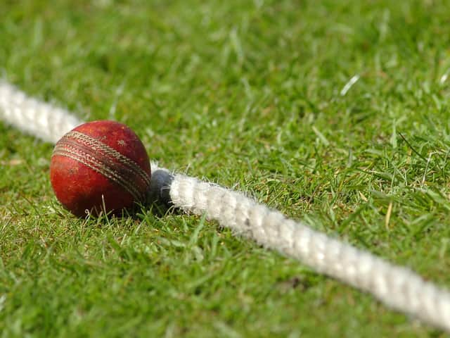 Cricket news