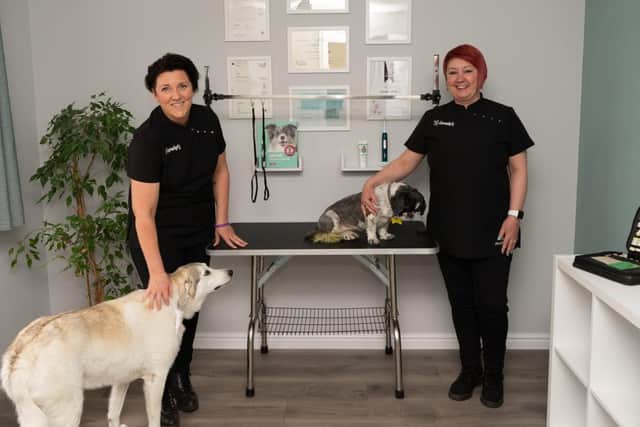 Jennifer Robb (left) and Paula Goodrick (right) have opened Groucho's - a holistic doggy health hub in Norton