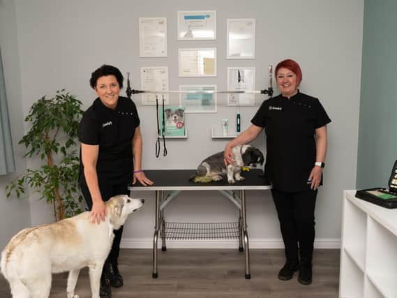 Jennifer Robb (left) and Paula Goodrick (right) have opened Groucho's - a holistic doggy health hub in Norton