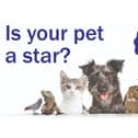 Is your pet a star?