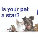 Is your pet a star?