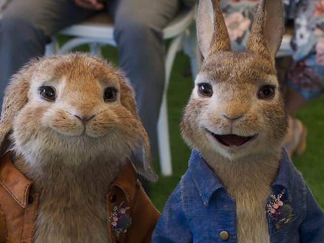 Peter Rabbit 2