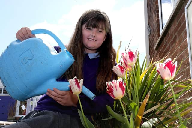 Pupil Lily waters the flowers in the garden.