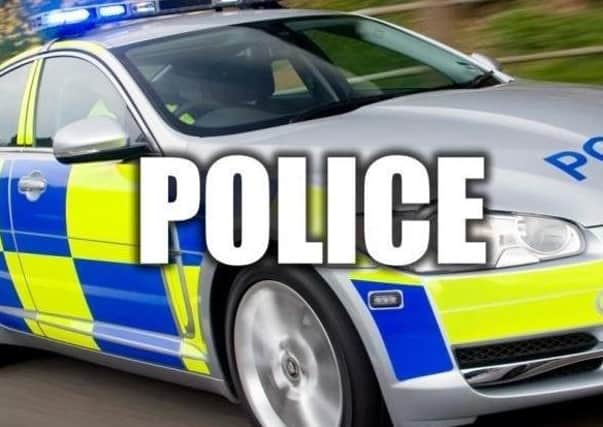 Police in Bridlington say the wild animal was found lying on the ground last Friday, having hit its head on some fencing after being chased by a dog at the rugby ground at Queensgate. Police in Bridlington say the wild animal was found lying on the ground last Friday, having hit its head on some fencing after being chased by a dog at the rugby ground at Queensgate.