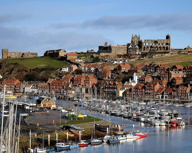 A Yorkshire-based company has hit back over 'misconceptions' for zip wires in Whitby.