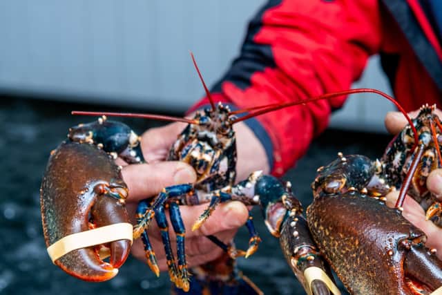 Bridlington Harbour saw the landing of £10million of shellfish in 2019.